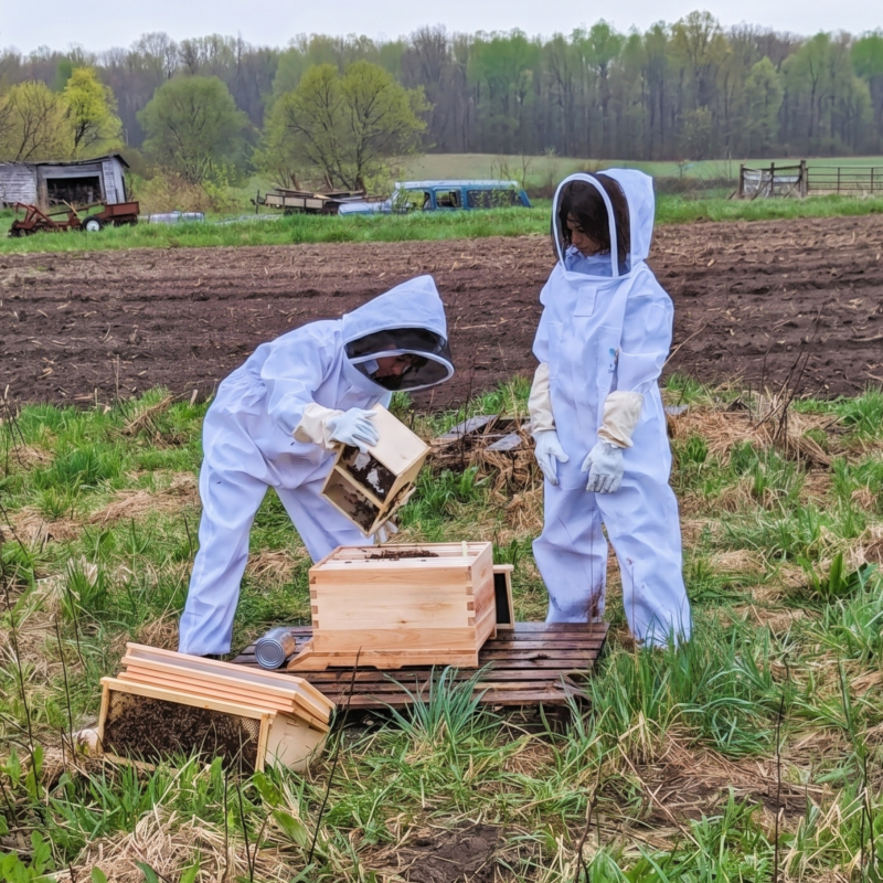 Beekeeping-classes-Michigan-MI-IMPACT-Gemini_Generated-Edited Beekeeping class run by MI-IMPACT in Michigan