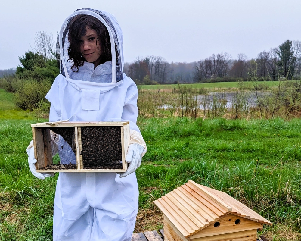 Budding_bee-keepers-event-MI-IMPACT_exploration-events123 Students gathered around a beehive during the MI-IMPACT Budding Beekeepers event
