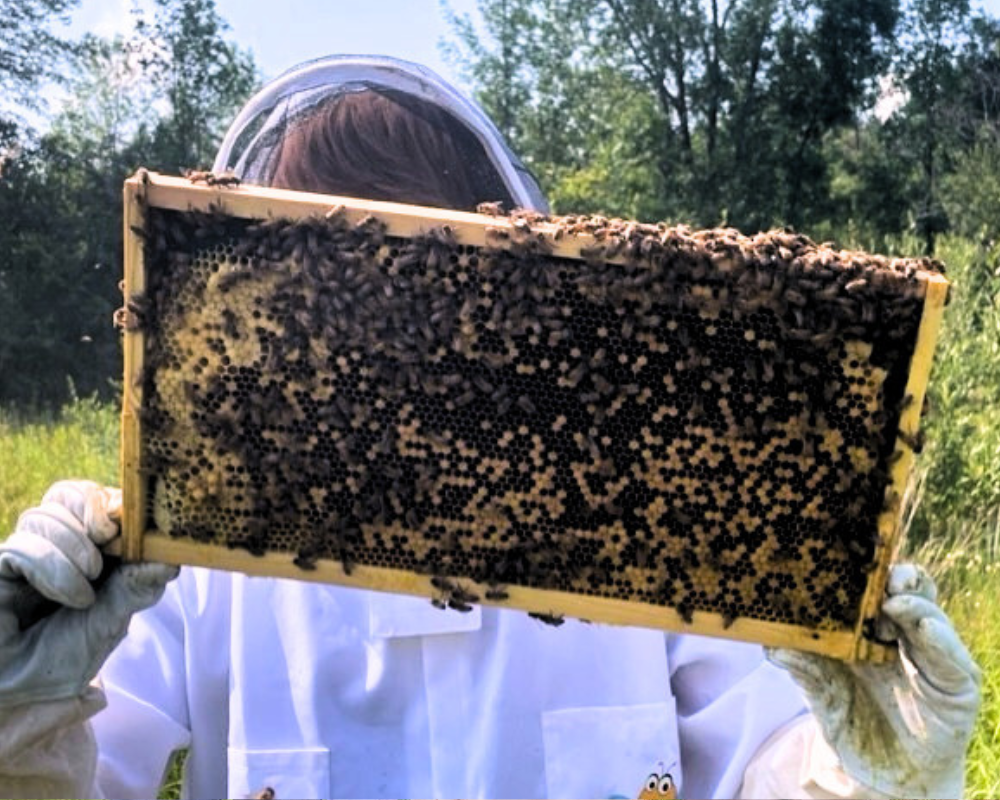 Budding_beekeepers_MI-IMPACT_Things-for-bored-kids-detroit-Michigan Young beekeepers at the MI-IMPACT Budding Beekeepers program in Detroit