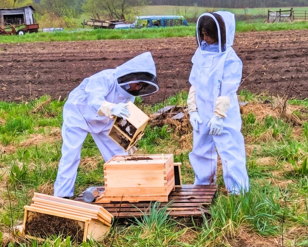 DETROIT-MICHIGAN-BEEKEEPING-beekeeping-education-MI-IMPACT Beekeeping education session run by MI-IMPACT in Detroit, Michigan