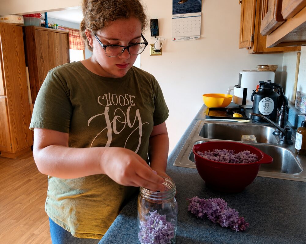 Image_child_canning-lilacs-alternative-homeschool-MI-IMPACT_michigan-education-homeschool-alternatives Child canning lilacs during a MI-IMPACT food preservation program